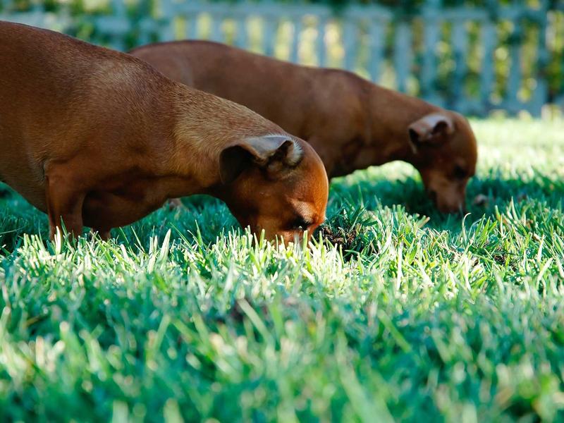 sudoku number pad screenshot 2