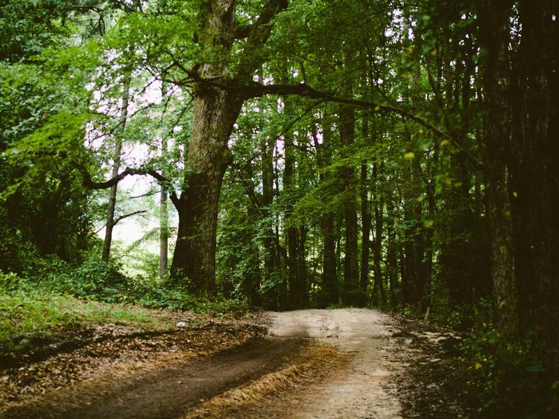 sudoku logical deduction screenshot 3